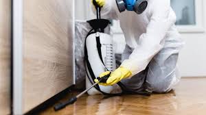 Best Fumigation Services  in Lewiston, ID